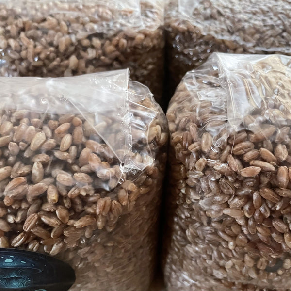 Grain Bags