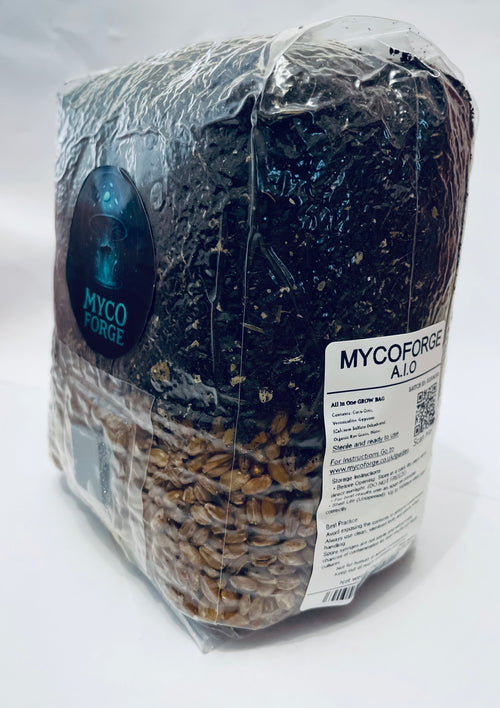 myco forge rye grain all in one spawn bag side view
