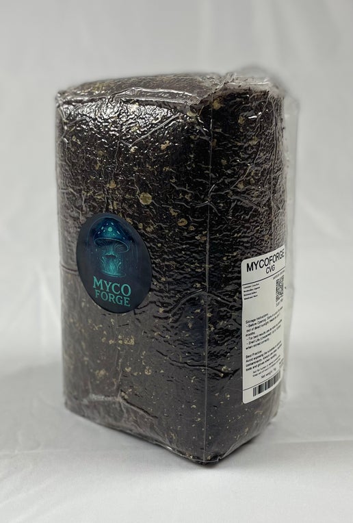 myco forge cvg substrate bag 1kg front view