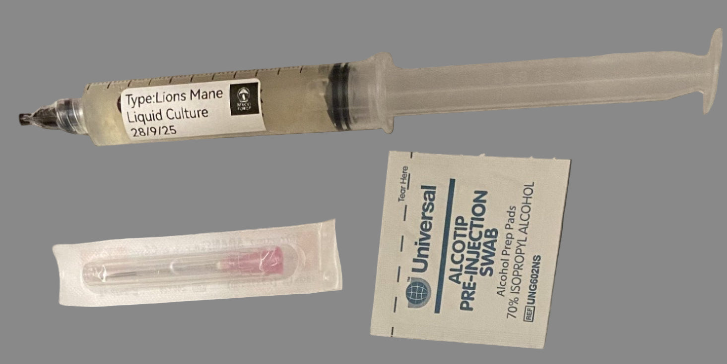 myco forge liquid culture syringe lions mane kit for growing mushrooms