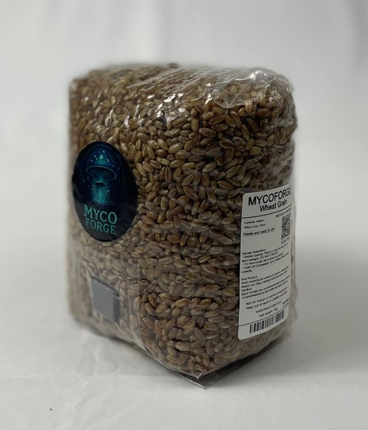 myco forge wheat grain spawn bag 1kg